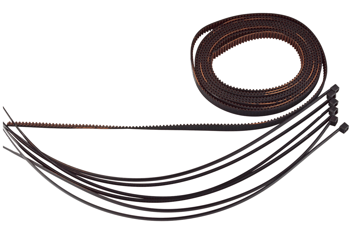 Formbot Troodon X/Y Belt for 300