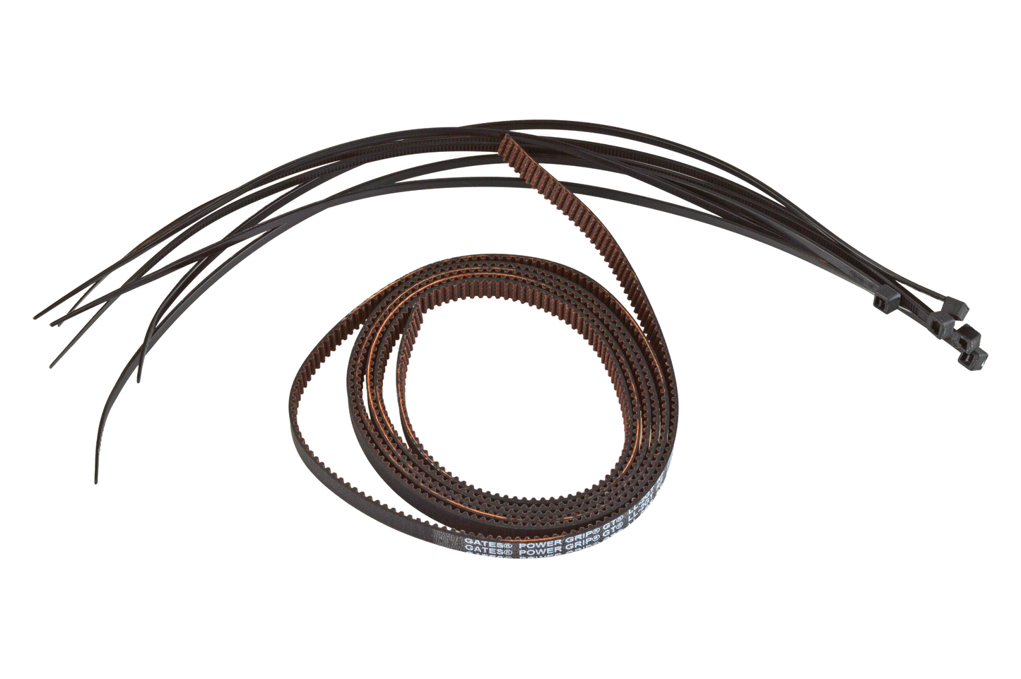 Formbot Troodon Z Belt for 300