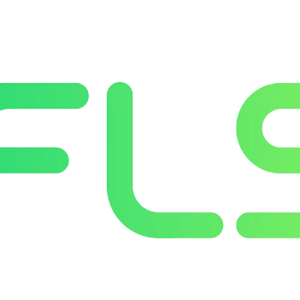Flsun T1 - Stampante 3D CoreXY