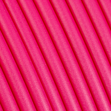 Panchroma™ PLA Neon